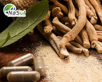 Withanolides là gì? lợi ích trong điều trị bệnh mạn tính Withanolides là gì? lợi ích trong điều trị bệnh mạn tính