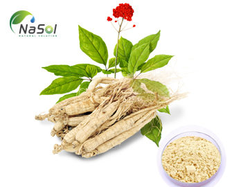 Lợi ích sức khỏe của Compound K (CK) Lợi ích sức khỏe của Compound K (CK)