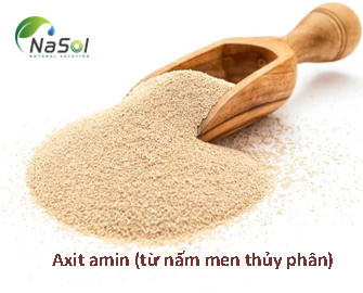 Axit amin (từ nấm men thủy phân) là gì?