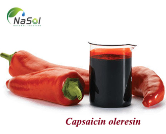 Capsaicin oleresin: Công dụng, ứng dụng và tác dụng phụ Capsaicin oleresin: Công dụng, ứng dụng và tác dụng phụ