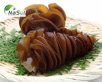 Lợi ích sức khỏe và ứng dụng của Mekabu  Lợi ích sức khỏe và ứng dụng của Mekabu