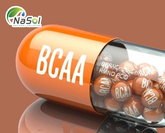 Những lưu ý khi bổ sung BCAA Những lưu ý khi bổ sung BCAA