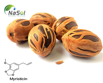 Myristicin là gì? và những điều bạn nên biết Myristicin là gì? và những điều bạn nên biết