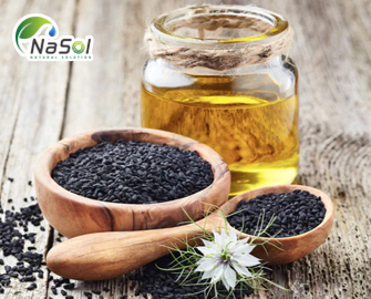 Thì là đen: Thảo dược tự nhiên chữa bệnh đầy hứa hẹn Thì là đen: Thảo dược tự nhiên chữa bệnh đầy hứa hẹn