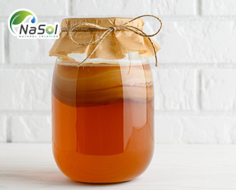 Kombucha: thành phần, lợi ích sức khỏe và tác dụng phụ Kombucha: thành phần, lợi ích sức khỏe và tác dụng phụ