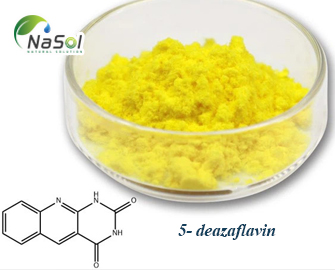 5-Deazaflavin là gì? Tác dụng và sự khác biệt với NMN 5-Deazaflavin là gì? Tác dụng và sự khác biệt với NMN