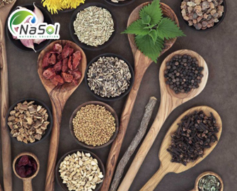 Các nguyên liệu tự nhiên tốt cho Phì đại tiền liệt tuyến Các nguyên liệu tự nhiên tốt cho Phì đại tiền liệt tuyến