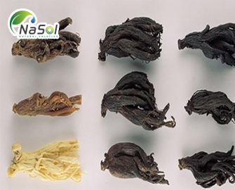 Tổng hợp các dòng nguyên liệu từ Nhân Sâm Hàn Quốc