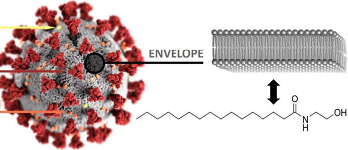 Cấu tạo của Covid-19