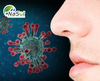 Nghiên cứu phục hồi mất khứu giác do Covid-19 Nghiên cứu phục hồi mất khứu giác do Covid-19