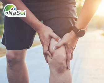 Tác dụng giảm đau và chống viêm của Amlexin Tác dụng giảm đau và chống viêm của Amlexin