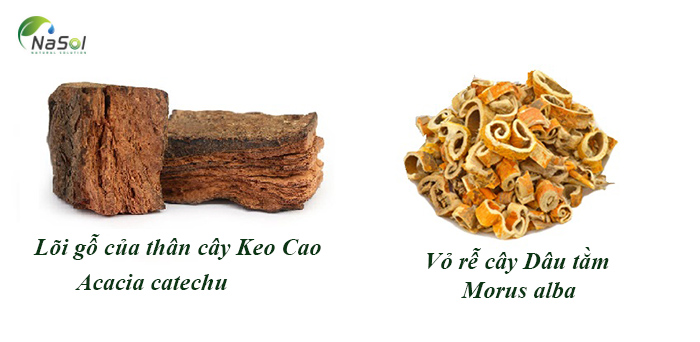 Giới thiệu về Amlexin