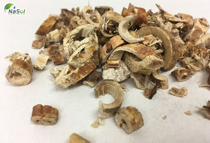 vỏ rễ cây râu tằm