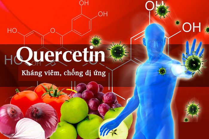 Quercetin phytosome