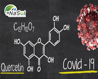 Nghiên cứu Quercetin phytosome trong điều trị Covid-19 Nghiên cứu Quercetin phytosome trong điều trị Covid-19