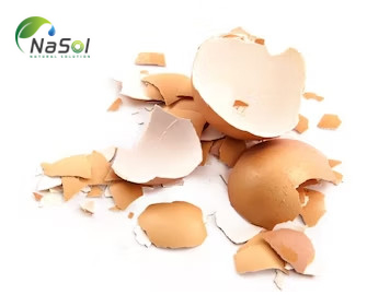Bột màng vỏ trứng (Eggbrane): giảm đau khớp do thoái hóa Bột màng vỏ trứng (Eggbrane): giảm đau khớp do thoái hóa