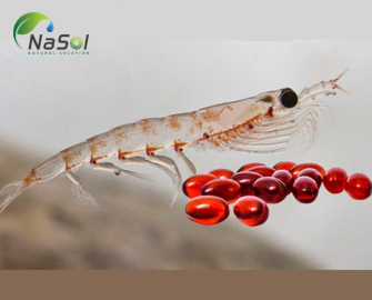 Ưu điểm bổ sung dầu nhuyễn thể so với dầu cá