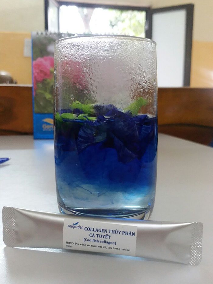 Collagen với hoa đậu biếc