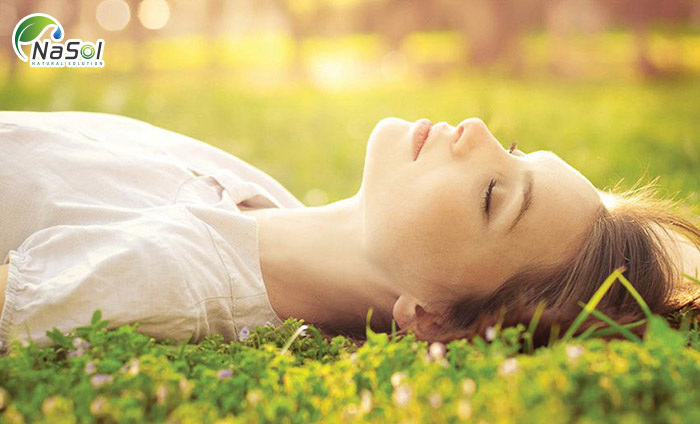 Tác dụng chữa bệnh của Cúc la mã theo các nghiên cứu khoa học