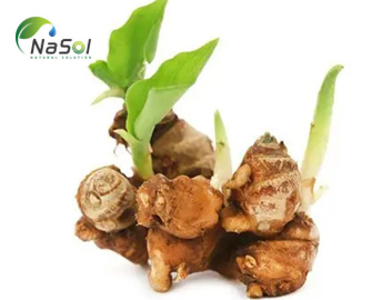 Lợi ích sức khỏe của Địa Liền Lợi ích sức khỏe của Địa Liền