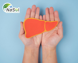 4Live: giảm tình trạng gan nhiễm mỡ không do rượu 4Live: giảm tình trạng gan nhiễm mỡ không do rượu