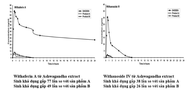 Ashwagandha extract và nghiên cứu sinh khả dụng