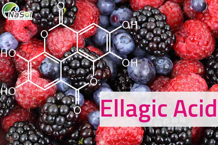 Axit ellagic