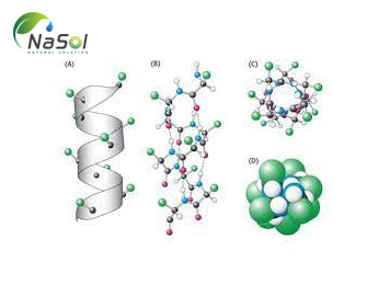 Lợi ích của đạm thủy phân với sức khỏe Lợi ích của đạm thủy phân với sức khỏe