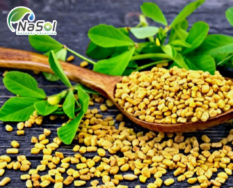 Fenugreek extract một phát hiện mới cho cải thiện sức khỏe sinh lý tự nhiện và an toàn Fenugreek extract một phát hiện mới cho cải thiện sức khỏe sinh lý tự nhiện và an toàn