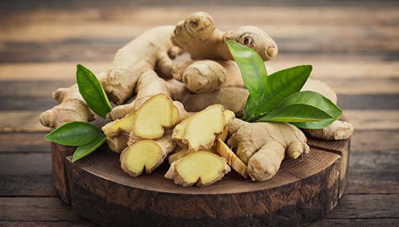 Ginger root powdered extract là gì