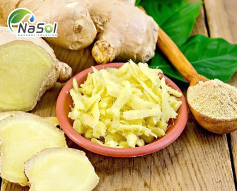 Ginger root powdered extract Ginger root powdered extract
