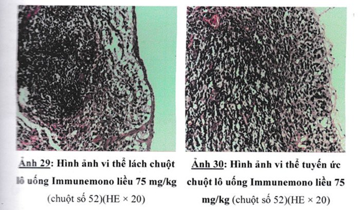 Immunemono tăng cường miễn dịch