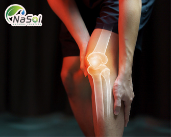 Lợi ích trên khớp của Proteoglycan từ sụn mũi cá hồi Lợi ích trên khớp của Proteoglycan từ sụn mũi cá hồi