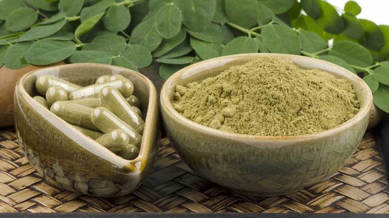 Moringa oleifera
