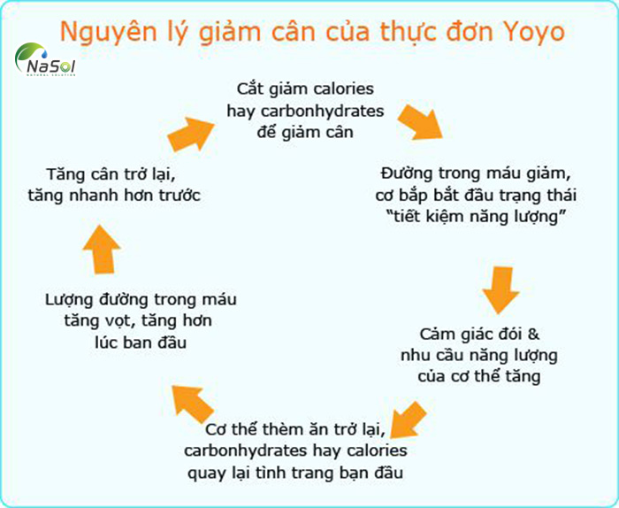 Giảm cân với hiệu ứng yo yo