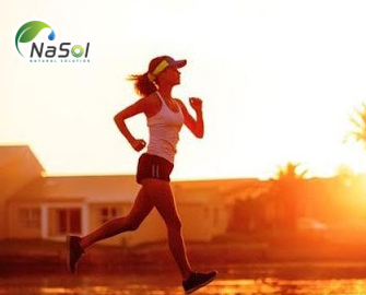 6 Nguyên liệu TPCN giúp tăng cường năng lượng 