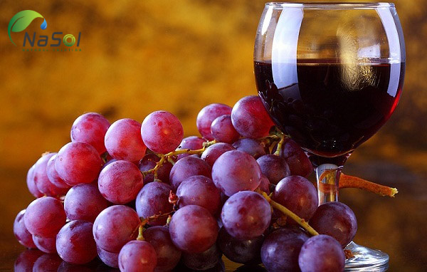 Resveratrol là gì