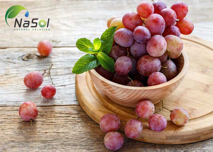 Resveratrol