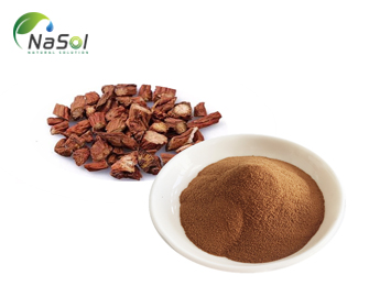 Salvia miltiorrhiza (Đan sâm): Những lợi ích và tác dụng phụ