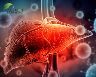 Immunemono® tăng hiệu quả giải độc gan của L-Arginine