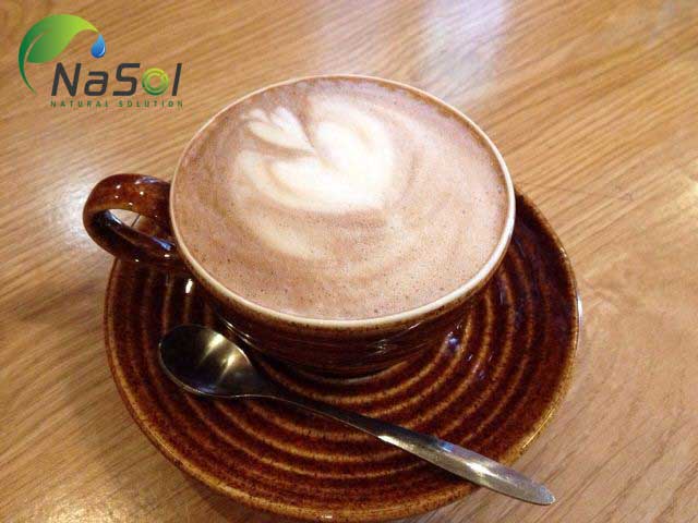 Nguyên liệu Cacao trong việc trống Oxy hóa