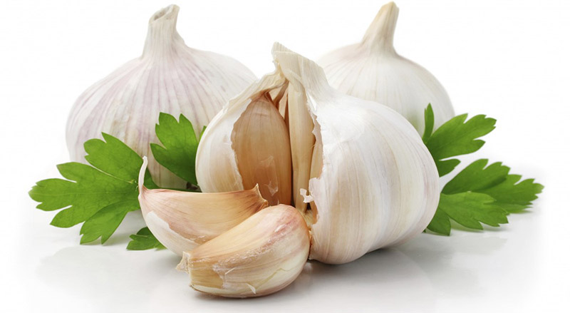 chiết xuất tỏi