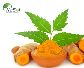 Những lợi ích của củ nghệ và Curcumin