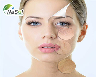 Những lợi ích của Proteoglycan trên da