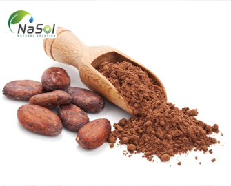 Những lợi ích sức khoẻ từ Cacao Những lợi ích sức khoẻ từ Cacao