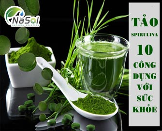Tảo spirulina - 10 công dụng với sức khỏe - Nguyên liệu Nasol