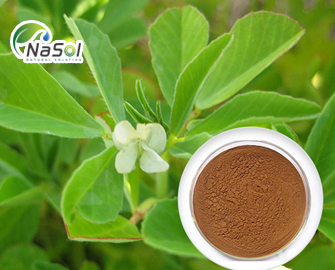 Testofen® giúp tăng testosterone tự do  Testofen® giúp tăng testosterone tự do