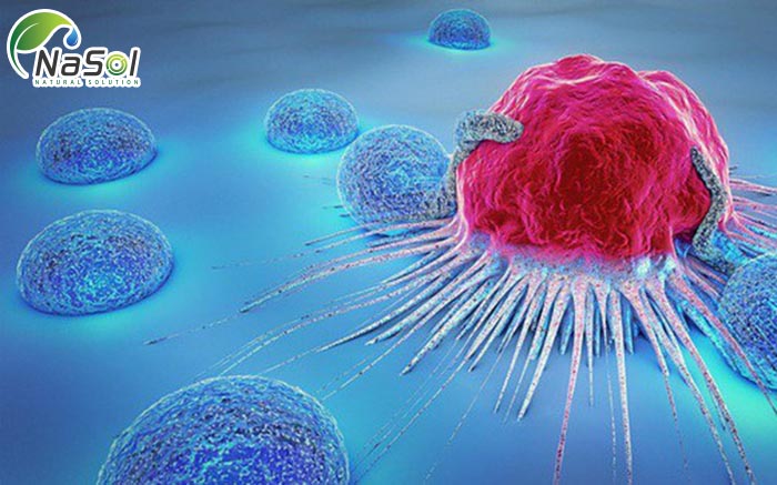 astaxanthin điều trị ung thư