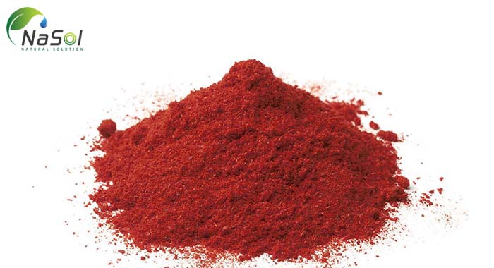 astaxanthin một số đặc điểm dược lý