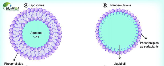 Công nghệ PhytoSolve